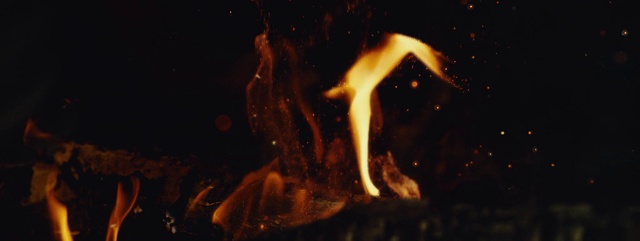 Video Reference: Atmosphere, Vertebrate, Sky, Flash photography, Organism, Wood, Fire, Heat, Liquid, Flame