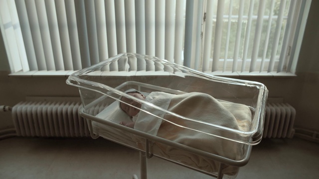 Video Reference: Automotive lighting, Hood, Bumper, Plastic bag, Grille, Gas, Automotive exterior, Bag, Musical instrument, Auto part