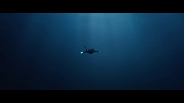 Video Reference: Water, Azure, Sky, Fluid, Fin, Electric blue, Underwater, Calm, Marine biology, Wing