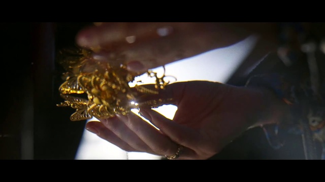 Video Reference: Gesture, Arthropod, Finger, Pest, Insect, Gadget, Darkness, Electric blue, Thumb, Event