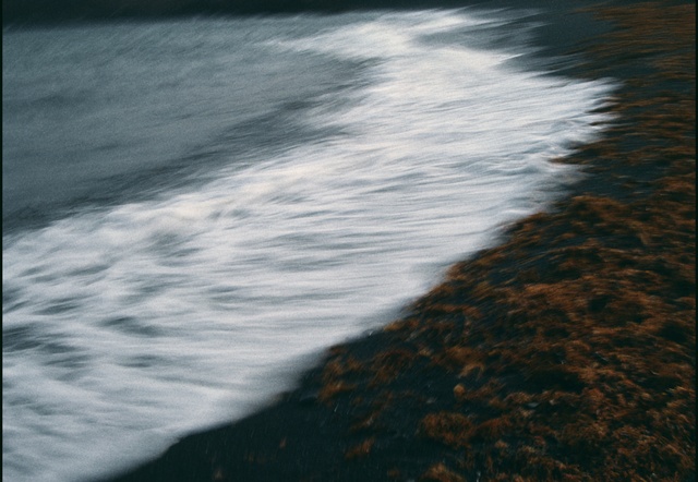 Video Reference: Water, Cloud, Plant, Sky, Natural landscape, Body of water, Tree, Tints and shades, Horizon, Wind wave