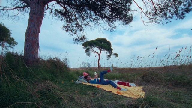 Video Reference: Sky, Plant, Cloud, Plant community, Tree, Vegetation, Natural landscape, Grass, Wood, Grassland