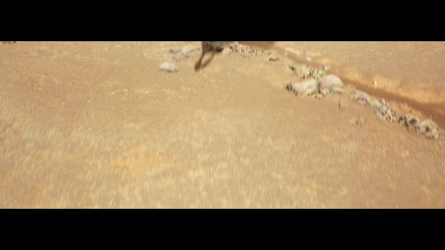 Video Reference: Wood, Font, Grass, Landscape, Human leg, Astronomical object, Recreation, Wildlife, Soil, Macro photography
