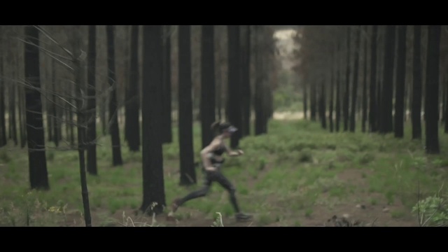 Video Reference: Plant, Tree, Natural landscape, Terrestrial plant, Woody plant, People in nature, Grass, Grassland, Forest, Trunk