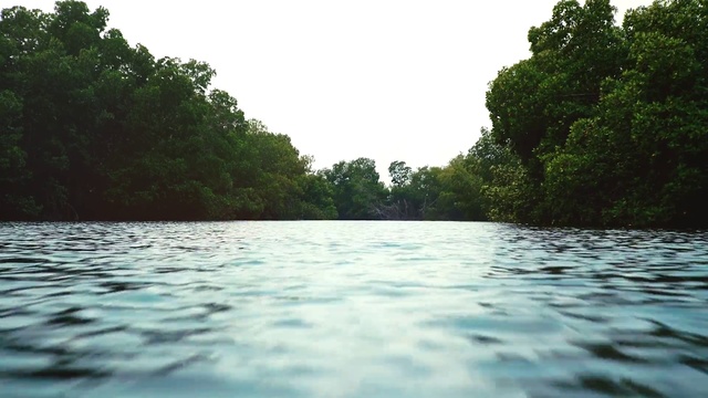 Video Reference: Water, Sky, Tree, Natural landscape, Fluvial landforms of streams, Lake, Coastal and oceanic landforms, Cloud, Bank, Vehicle
