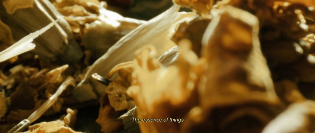 Video Reference: Ingredient, Recipe, Food, Cuisine, Dish, Bivalve, Wood, Natural material, Close-up, Shell