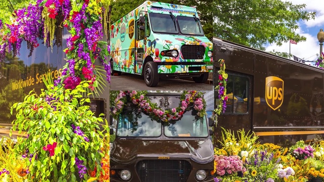 Video Reference: Flower, Plant, Wheel, Vehicle, Tire, Motor vehicle, Car, Mode of transport, Yellow, Art