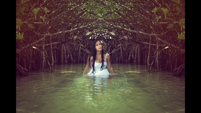 Video Reference: Water, Vertebrate, People in nature, Natural environment, Flash photography, Botany, Fashion, Happy, Mammal, Sunlight