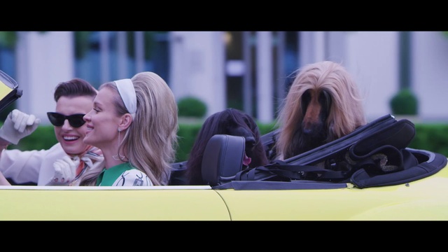 Video Reference: Sunglasses, Eyewear, Street fashion, Goggles, Motor vehicle, Happy, Hat, Leisure, Automotive design, Companion dog