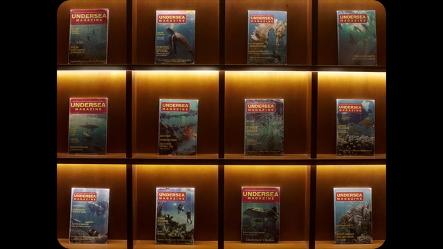 Video Reference: Publication, Shelving, Amber, Material property, Shelf, Machine, Advertising, Font, Service, Collection