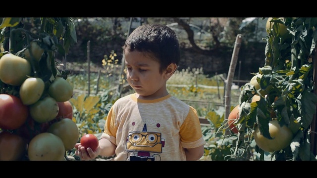 Video Reference: Plant, World, Happy, Travel, Toddler, Leisure, Fun, Grass, Tree, Child