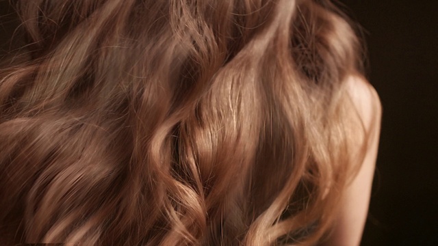 Video Reference: Eyelash, Liver, Wood, Sporting Group, Brown hair, Fur, Step cutting, Surfer hair, Macro photography, Fashion accessory