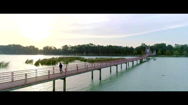Video Reference: Water, Cloud, Sky, Water resources, Plant, Natural landscape, Tree, Lake, Body of water, Watercourse