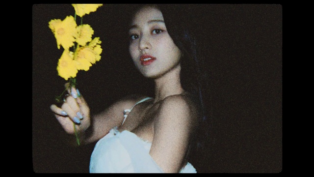 Video Reference: Flower, Plant, Petal, Flash photography, Gesture, Happy, Flower Arranging, Bouquet, Flowering plant, Rose