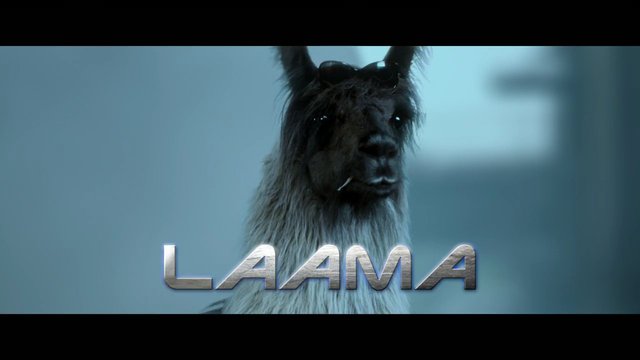 Video Reference: llama, animal, close-up, portrait, indoor, text overlay, title card, furry, mammal, farm animal, blue background, headshot