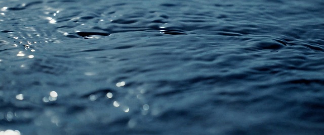 Video Reference: Water, Liquid, Fluid, Sky, Lake, Electric blue, Wind wave, Pattern, Moisture, Tree