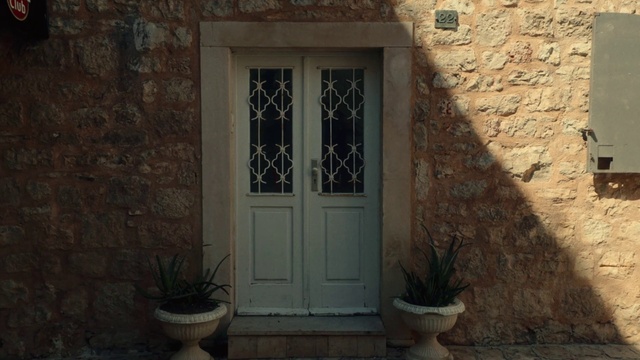 Video Reference: Plant, Door, Flowerpot, Black, Fixture, Wood, Houseplant, Wall, Home door, Rectangle