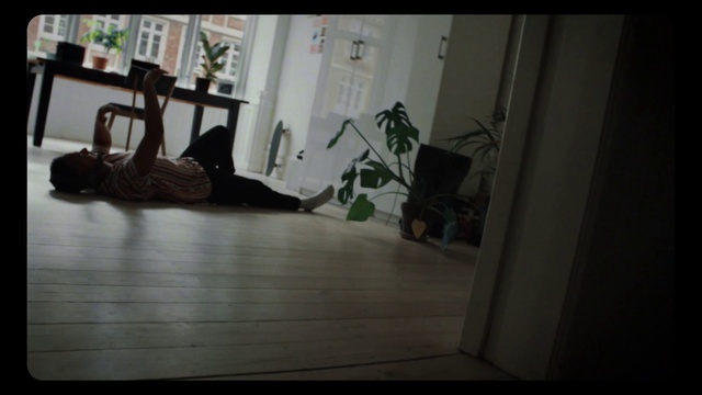 Video Reference: Wood, Grey, Floor, Flooring, Plant, Hardwood, Comfort, Laminate flooring, Living room, Grass