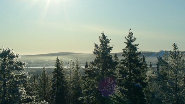 Video Reference: Sky, Plant, Ecoregion, Natural environment, Mountain, Natural landscape, Larch, Tree, Highland, Slope