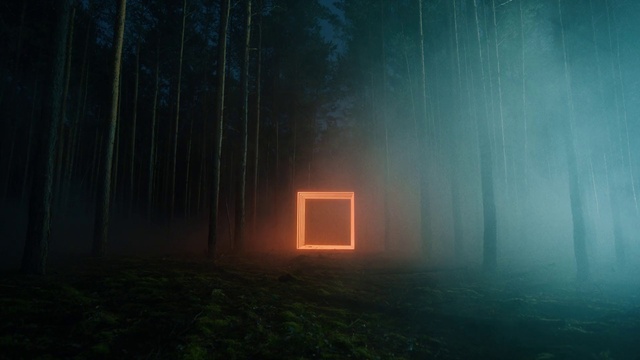 Video Reference: Atmosphere, Plant, Automotive lighting, Wood, Natural landscape, Tree, Trunk, Grass, Tints and shades, Landscape