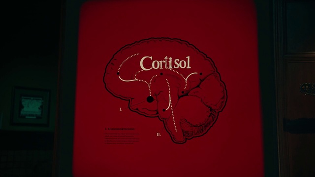 Video Reference: Human body, Font, Handwriting, Material property, Art, Magenta, Pattern, Circle, Carmine, Visual arts