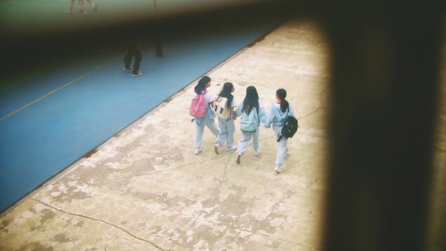 Video Reference: Wall, Floor, Flooring, Tints and shades, Art, Recreation, Leisure, Tree, Fun, Event