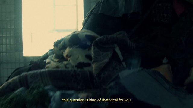 Video Reference: Comfort, Felidae, Dog breed, Whiskers, Companion dog, Thigh, Human leg, Small to medium-sized cats, Fur, Domestic short-haired cat