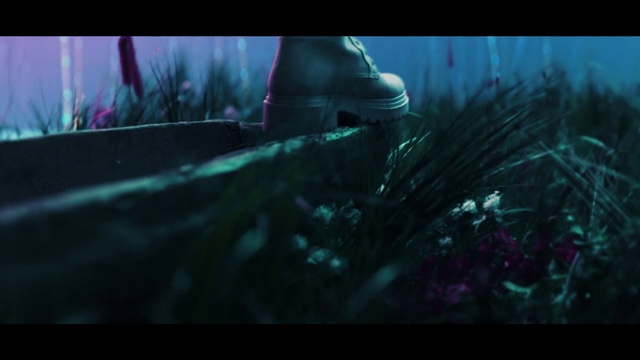 Video Reference: Organism, Window, Underwater, Marine biology, Automotive lighting, Musician, Electric blue, Entertainment, Windshield, Grass