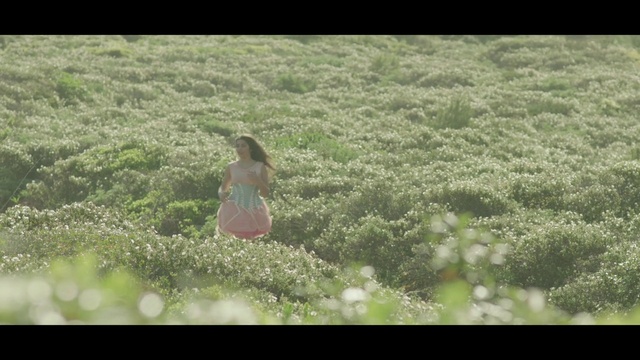 Video Reference: Flower, Plant, People in nature, Happy, Natural landscape, Grass, Grassland, Groundcover, Meadow, Landscape