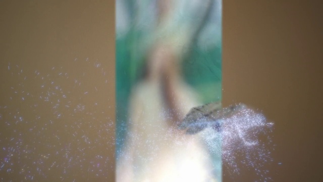 Video Reference: Window, Wood, Paint, Tints and shades, Eyelash, Electric blue, Glass, Macro photography, Grass, Transparent material