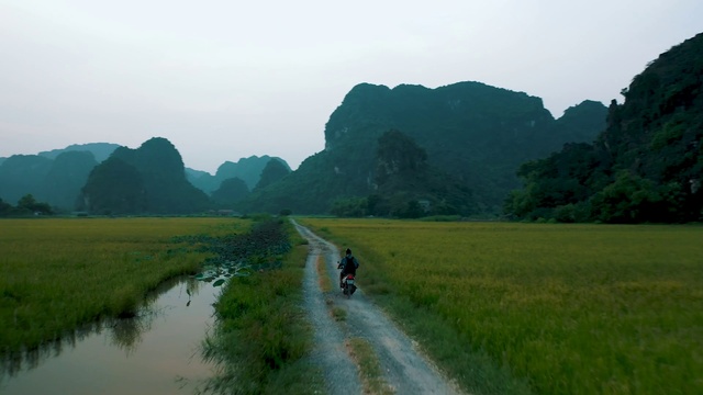 Video Reference: Sky, Plant, Mountain, Cloud, Natural landscape, Tree, Grass, Landscape, Plain, Grassland