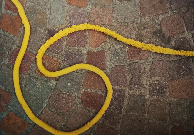 Video Reference: Vertebrate, Road surface, Asphalt, Scaled reptile, Organism, Yellow, Reptile, Line, Snake, Wall