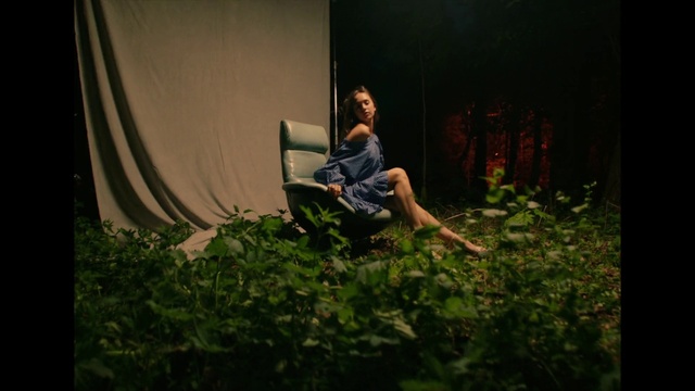 Video Reference: Plant, Leaf, People in nature, Flash photography, Chair, Wood, Comfort, Grass, Morning, Tints and shades