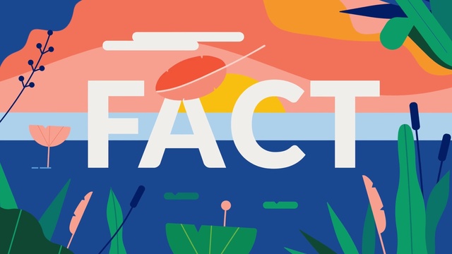 Video Reference: Vertebrate, Product, World, Organism, Font, Mammal, Art, Red, Illustration, Electric blue