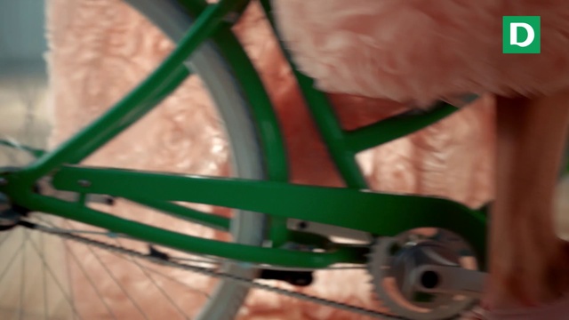 Video Reference: Tire, Wheel, Bicycle tire, Automotive tire, Vehicle, Bicycle wheel, Steering wheel, Rim, Toy, Toddler