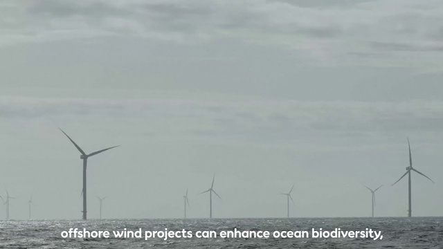 Video Reference: Windmill, Sky, Cloud, Wind farm, Wind turbine, Land lot, Electricity, Natural landscape, Landscape, Plain