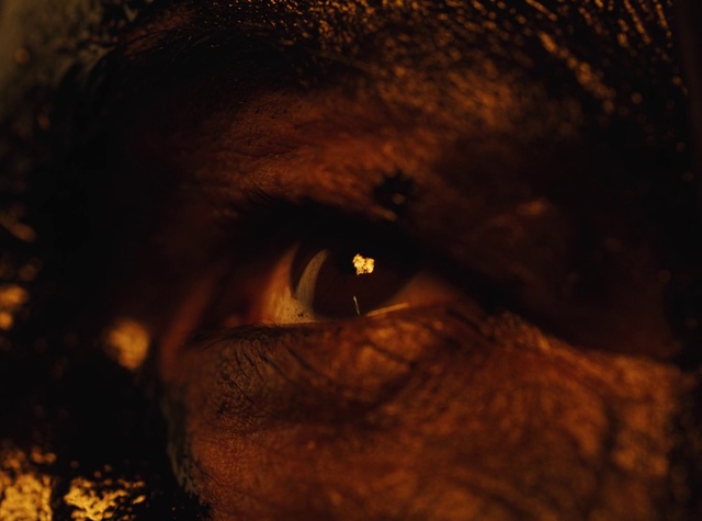 Video Reference: Nose, Eyelash, Ear, Wood, Iris, Flash photography, Whiskers, Snout, Astronomical object, Wrinkle