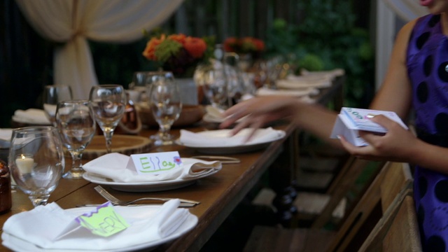 Video Reference: Tableware, Table, Furniture, Dishware, Stemware, Drinkware, Tablecloth, Plate, Wine glass, Plant