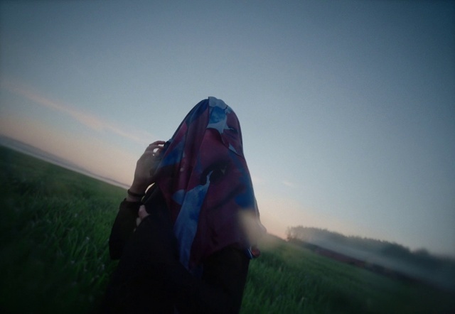 Video Reference: Hand, Cloud, Sky, Plant, Flash photography, People in nature, Tree, Gesture, Grass, Happy