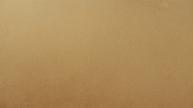 Video Reference: Brown, Amber, Wood, Beige, Tints and shades, Flooring, Pattern, Peach, Font, Landscape