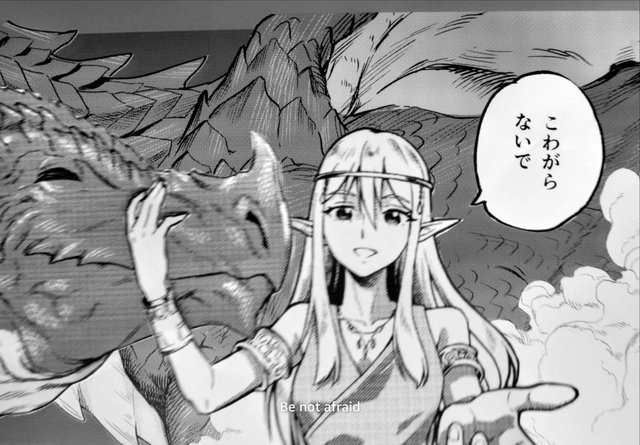 Video Reference: manga, anime, fantasy, elf, dragon, speech bubble, black and white, comic panel, female character, subtitled, monster, illustration