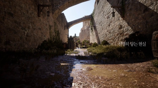 Video Reference: Sky, Plant, Water, Natural landscape, Grass, Landscape, Brick, Formation, Road, Wood