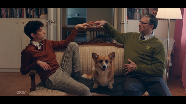 Video Reference: Dog, Muscle, Human, Dog breed, Carnivore, Comfort, Gesture, Companion dog, Sharing, Fawn