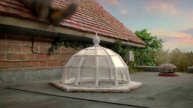 Video Reference: Plant, Building, Cloud, Sky, Shade, House, Tree, Tints and shades, Roof, Cottage