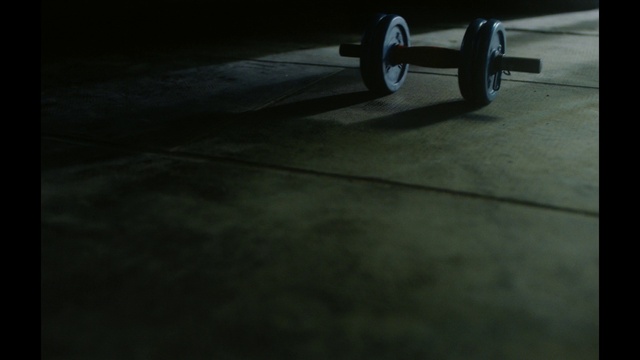 Video Reference: Automotive tire, Tread, Free weight bar, Flooring, Floor, Wood, Road surface, Rolling, Gas, Synthetic rubber
