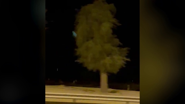 Video Reference: Art, Feather, Tints and shades, Wood, Event, Fashion design, Painting, Fur, Visual arts, Flooring