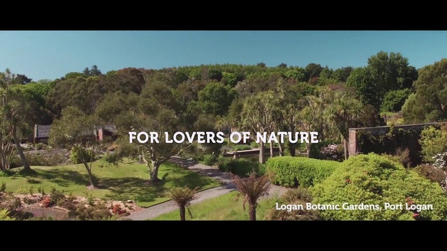 Video Reference: Plant, Sky, Natural landscape, Tree, Highland, Land lot, Terrestrial plant, Grass, Landscape, Hill