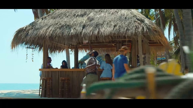 Video Reference: Vertebrate, Temple, Thatching, Body of water, Travel, Arecales, Leisure, Shorts, Shade, Fun
