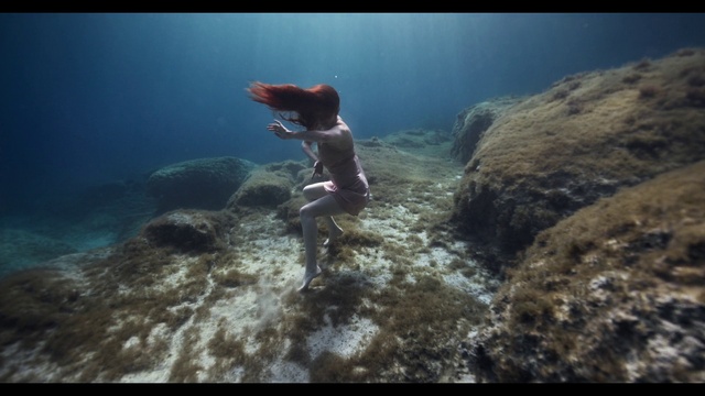 Video Reference: Water, Fluid, Underwater, Coastal and oceanic landforms, Coral, Recreation, Marine biology, Underwater diving, Reef, Coral reef