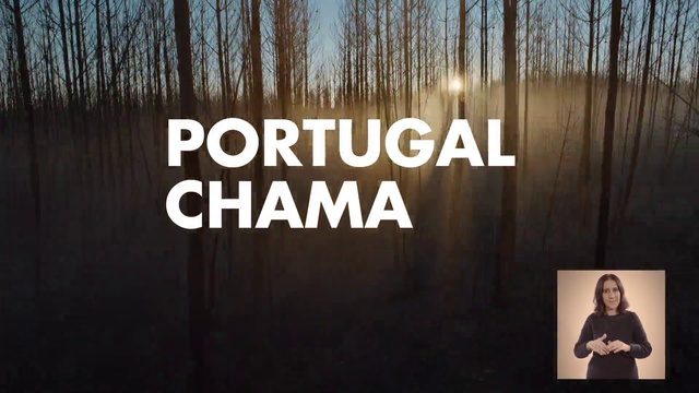 Video Reference: Vertebrate, Black, Wood, Natural landscape, Font, Happy, Sky, Tree, Plant, Tints and shades
